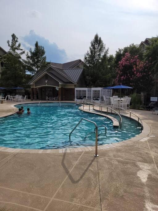 South Charlotte's Cozy & Modern Apartment