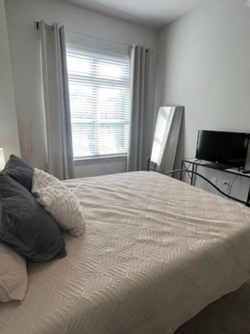 Apartment Spacious Luxury 2 Bedroom-2 Bath In Uptown With Balcony -80 Charlotte