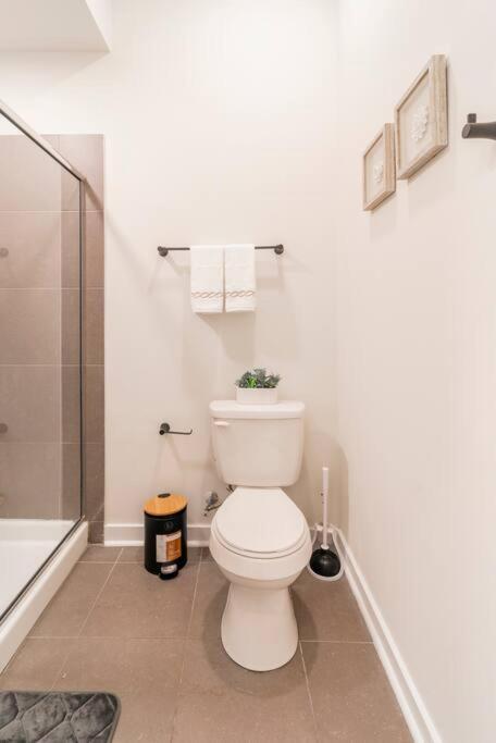 Charming Cozy With Wi-fi & Free Parking Apartment