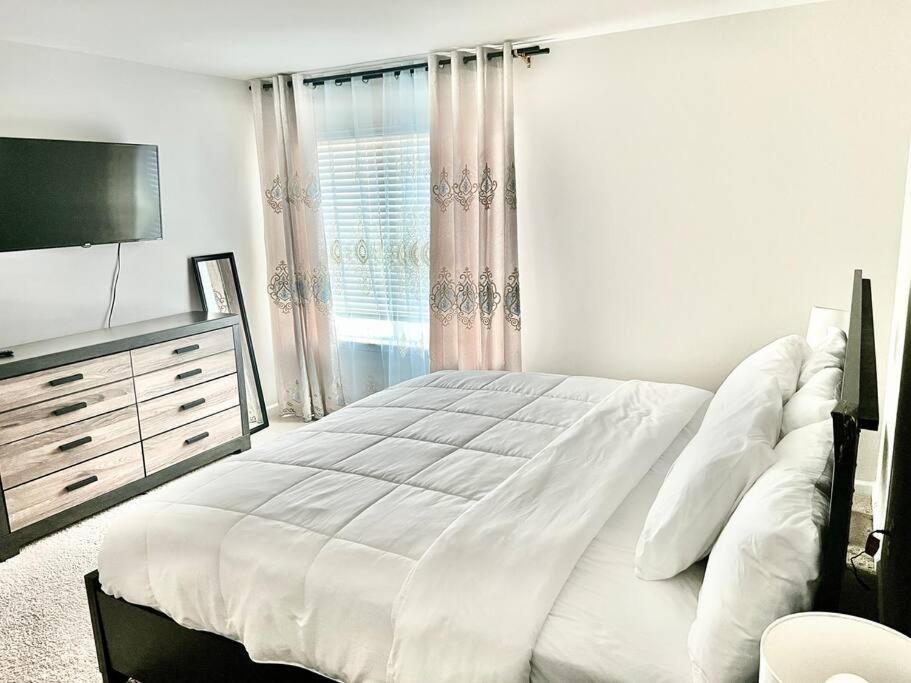 Spacious 4-bedroom House,6beds With Office Space