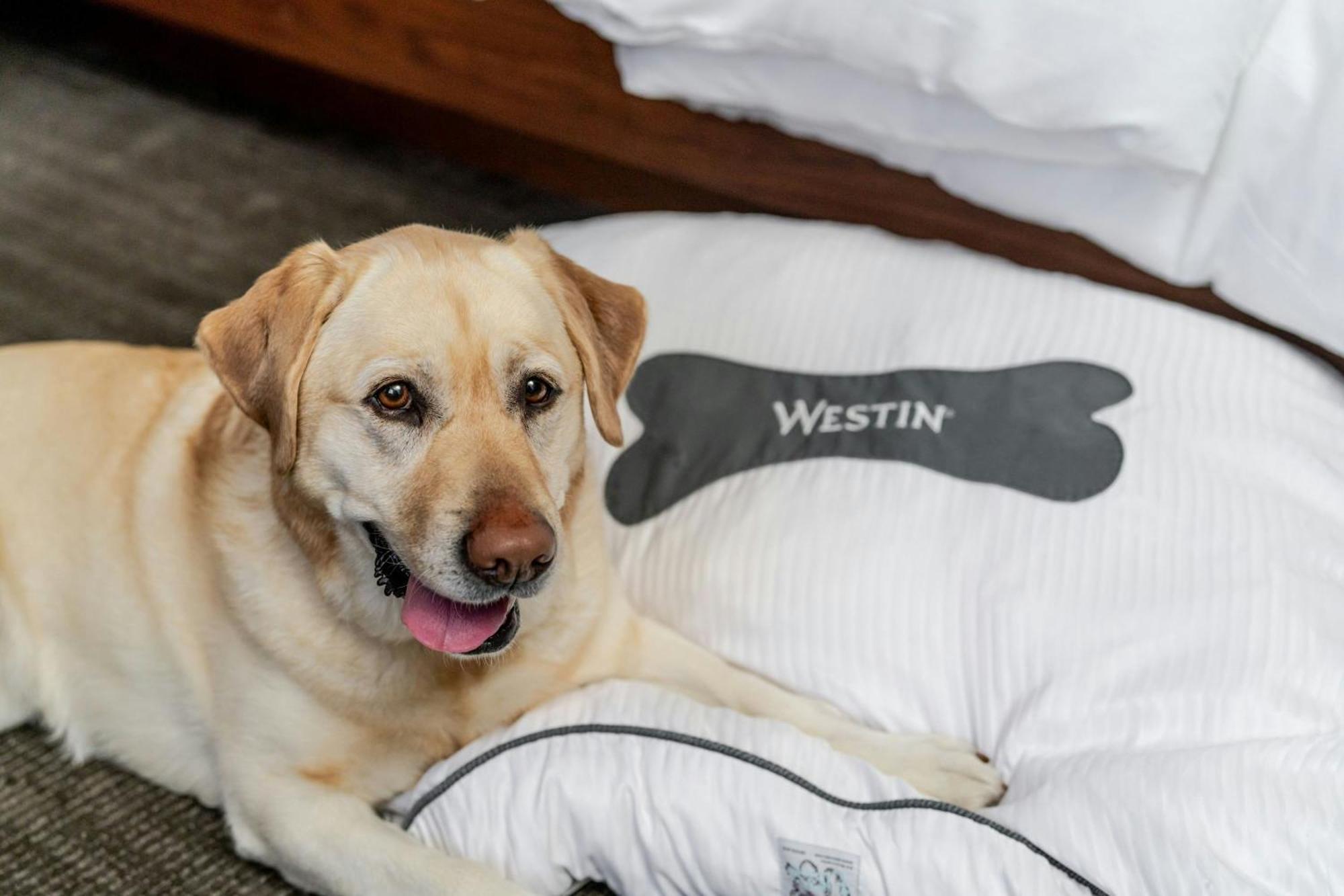 The Westin Hotel 4*