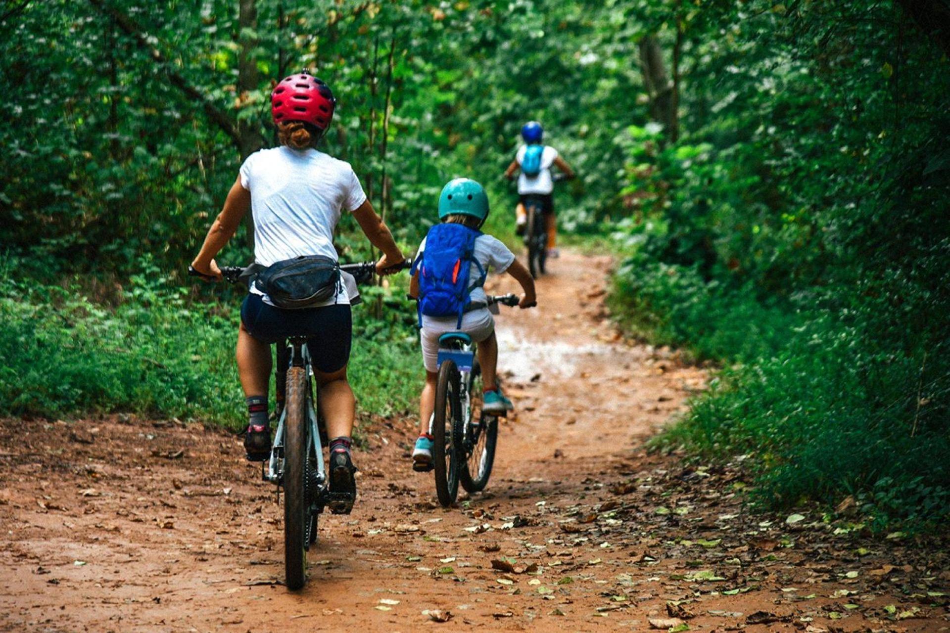 Dream Catcher's Holiday home *