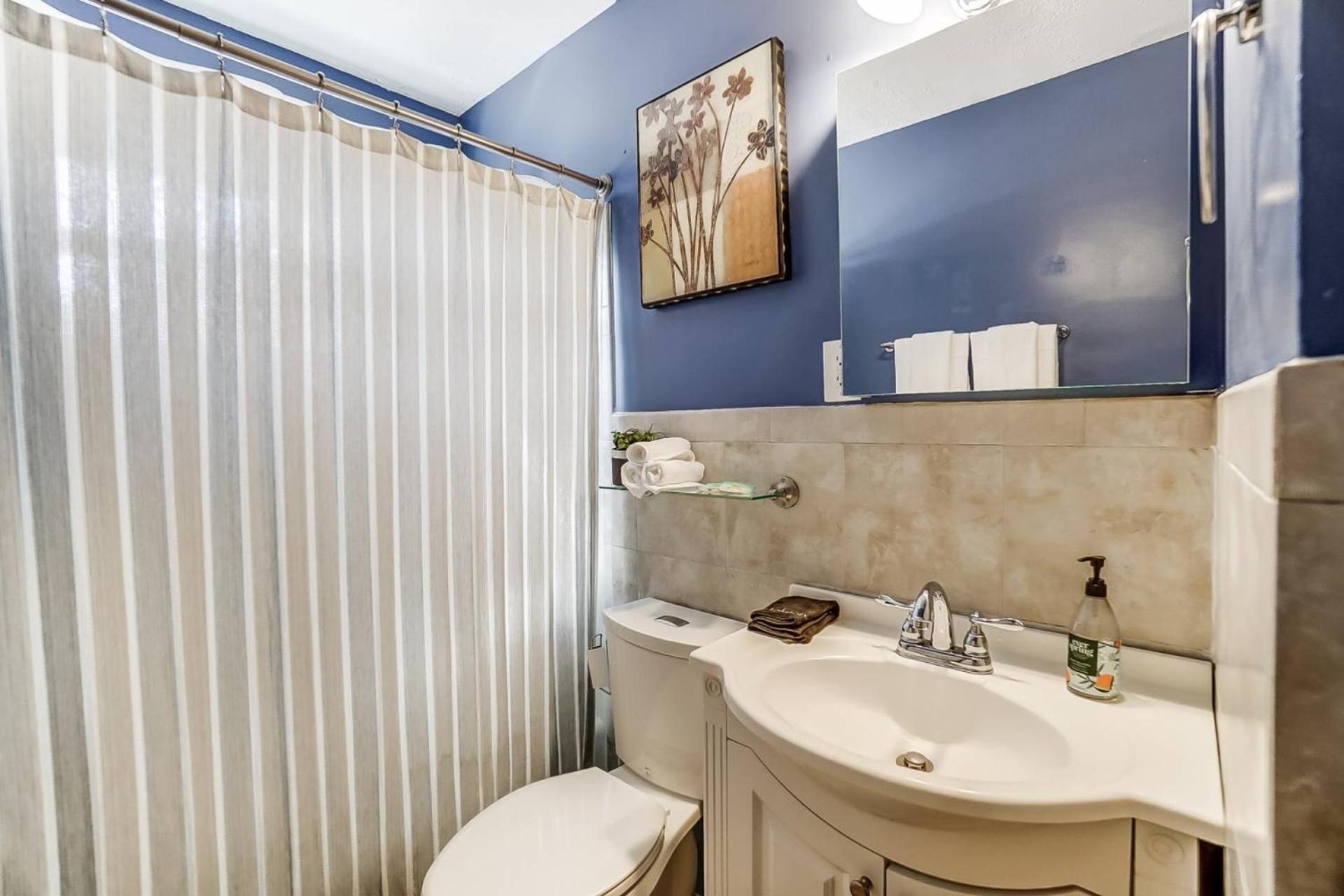 Dream Catcher's * Charlotte