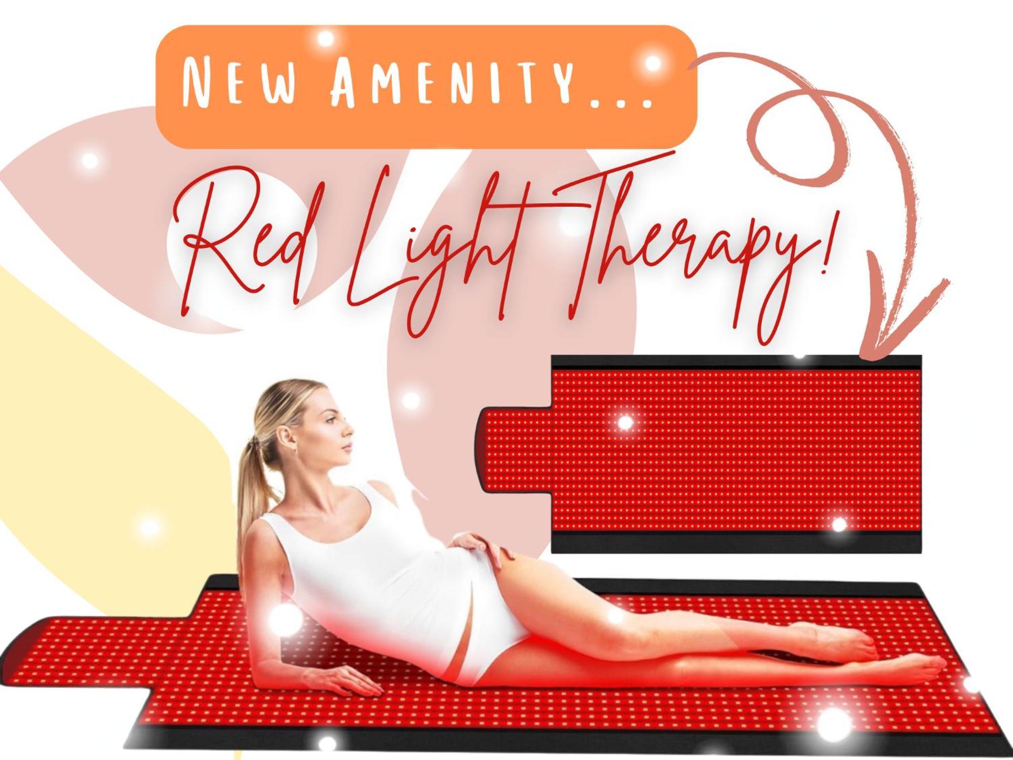 Venetian Beds, Outdoor Barrel Sauna, Hot Tub, Cold Plunge Apartment Charlotte