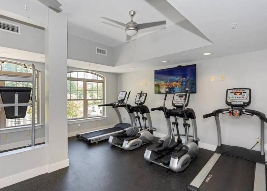 Cozy Uptown With Gym And Swimming Pool Apartment