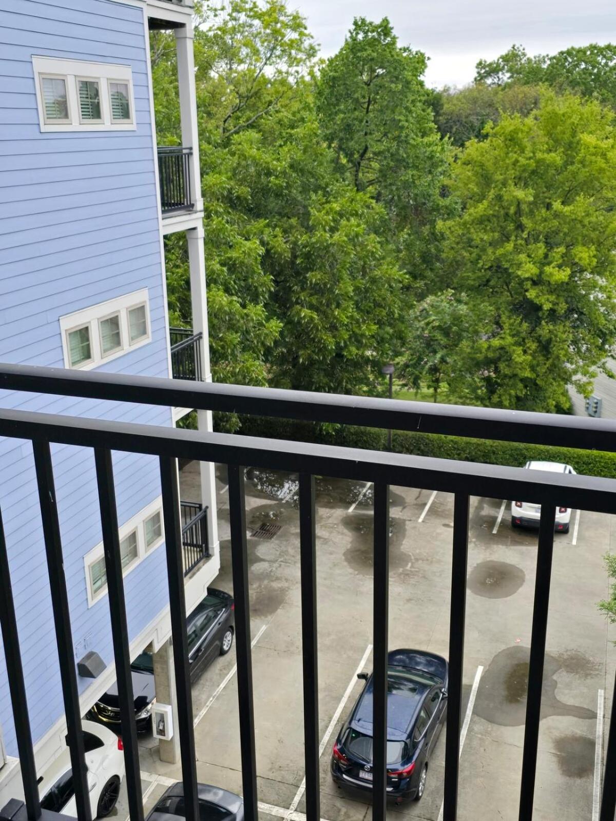 Cozy Uptown With Gym And Swimming Pool