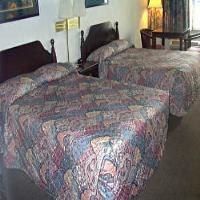 Quality & Area Hotel Charlotte