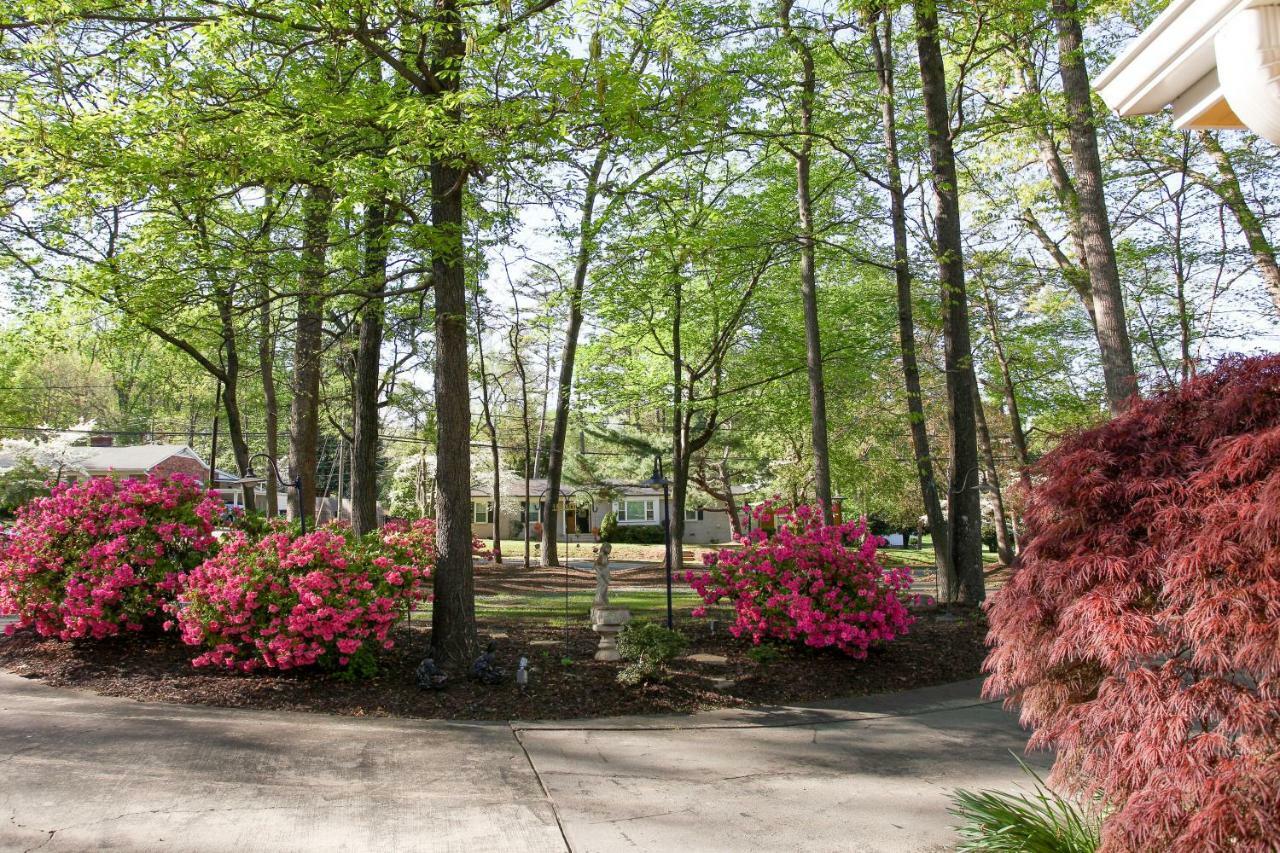 Ms. Elsie's Caribbean Charlotte